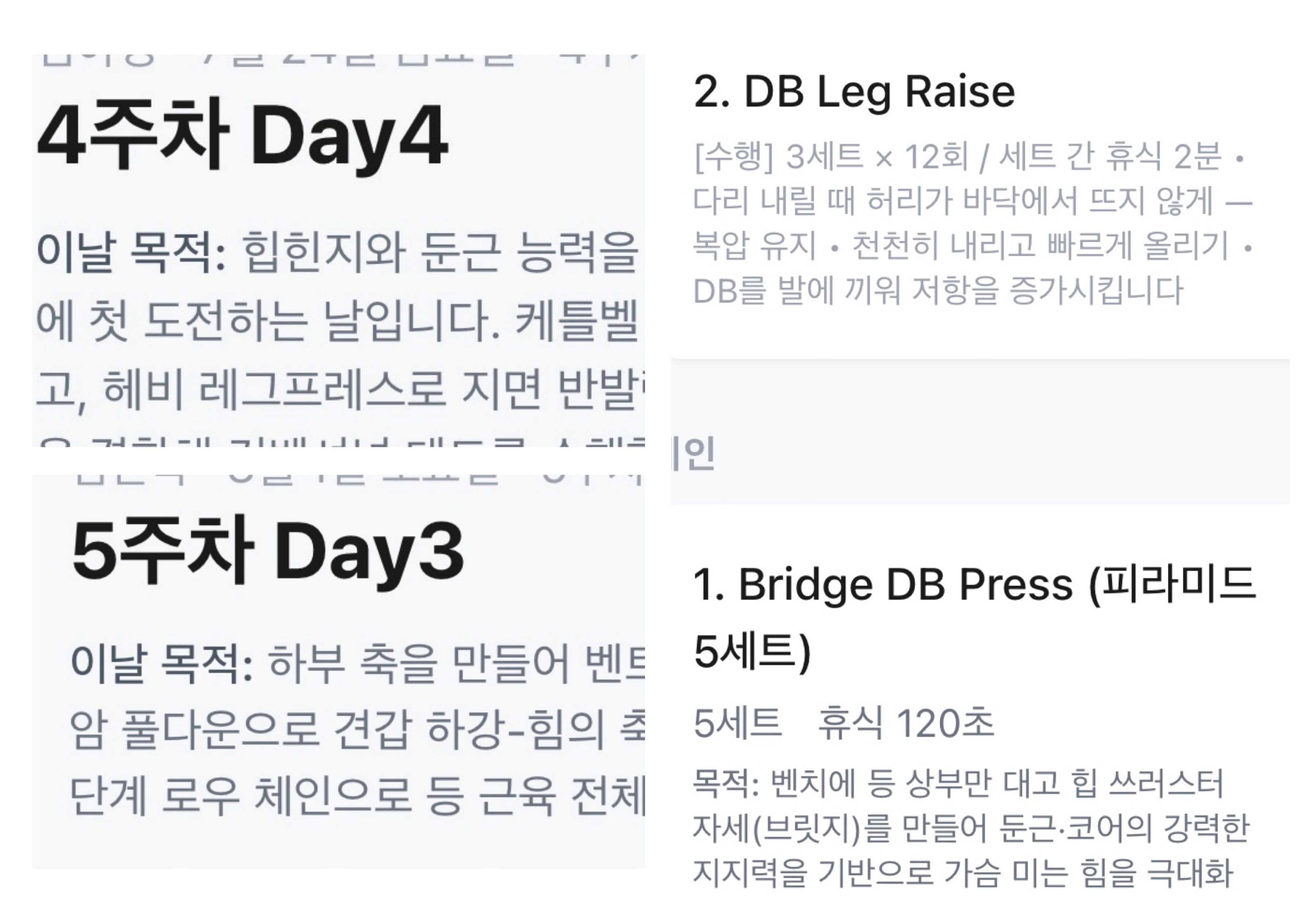 앱 운동 상세 가이드